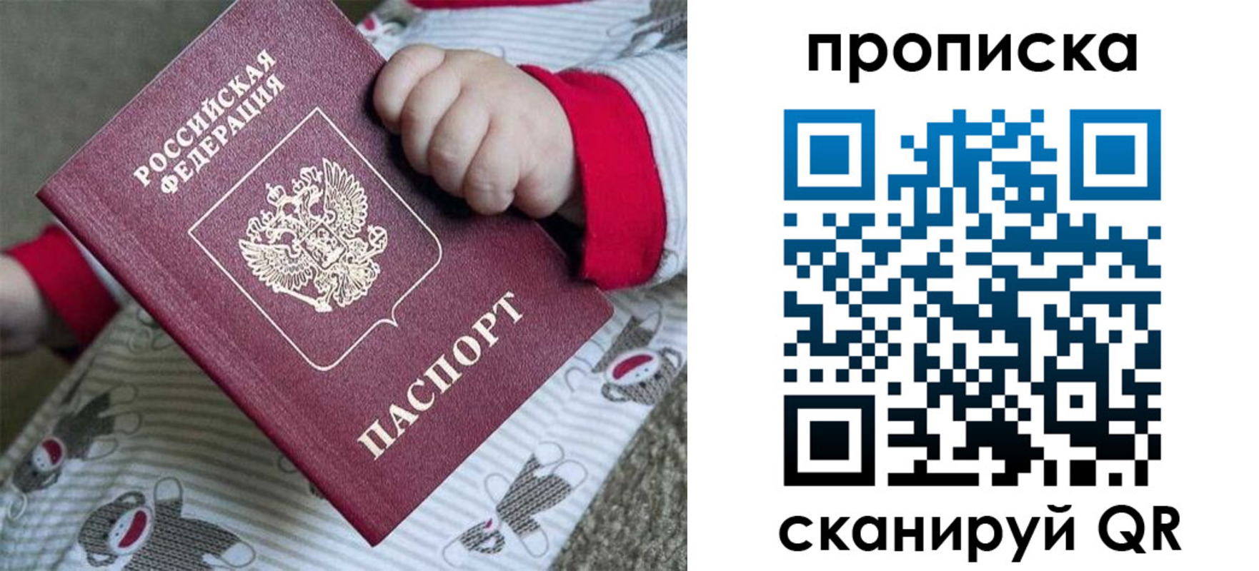 прописка 2025 в Кольчугино